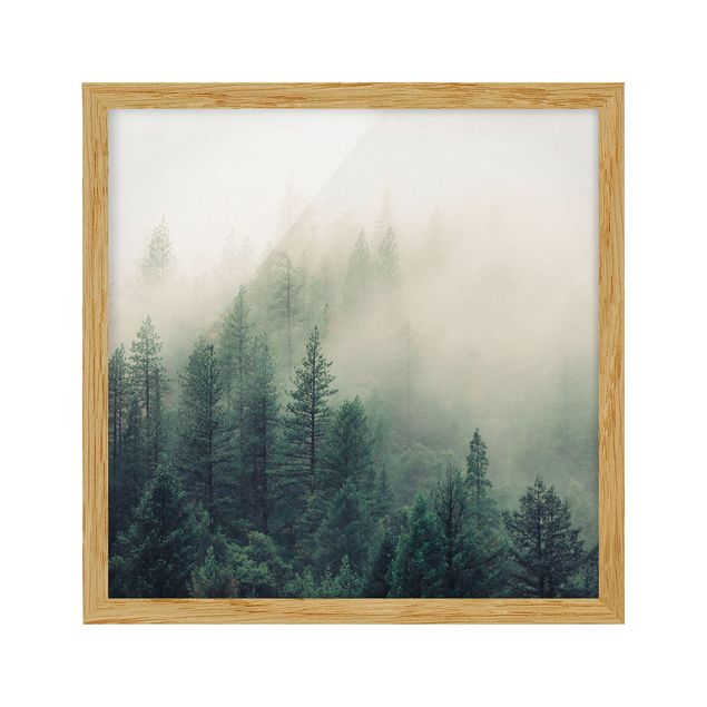 Poster con cornice - Foresta nebbiosa al risveglio