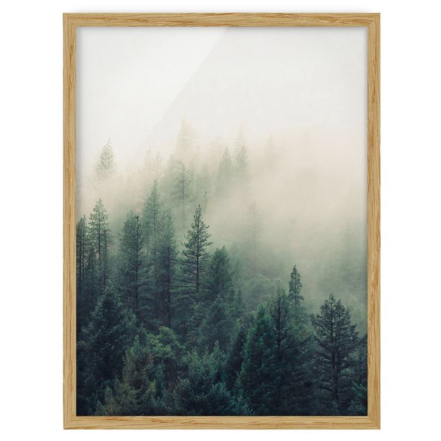 Poster con cornice - Foresta nebbiosa al risveglio