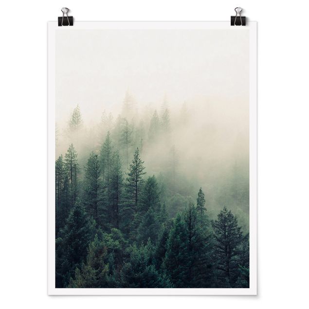Poster - Foresta nebbiosa al risveglio