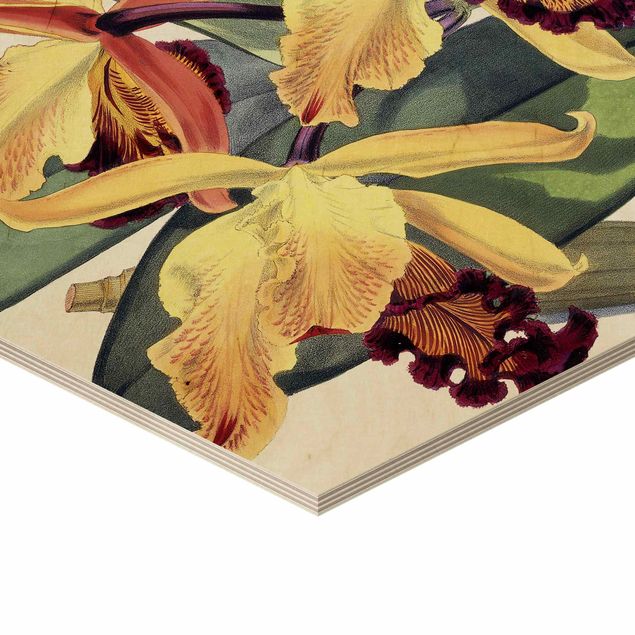 Esagono in legno - Walter Hood Fitch - Orchidea