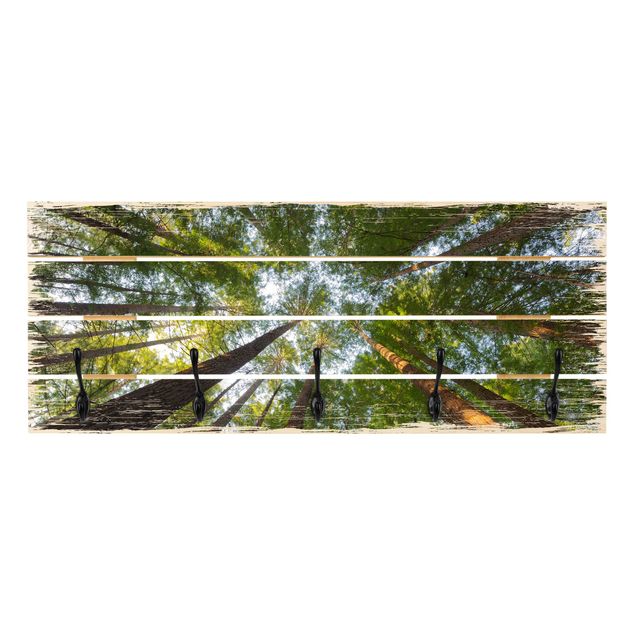 Appendiabiti in legno - Sequoia Tree Tops