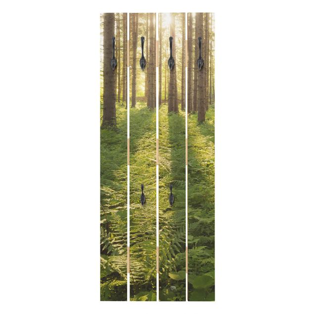 Appendiabiti in legno - Raggi di Sun nel verde della foresta