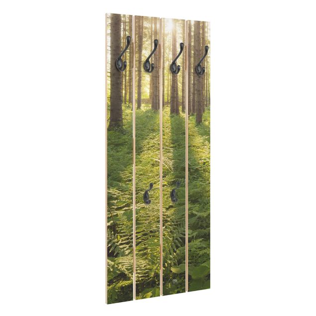 Appendiabiti in legno - Raggi di Sun nel verde della foresta
