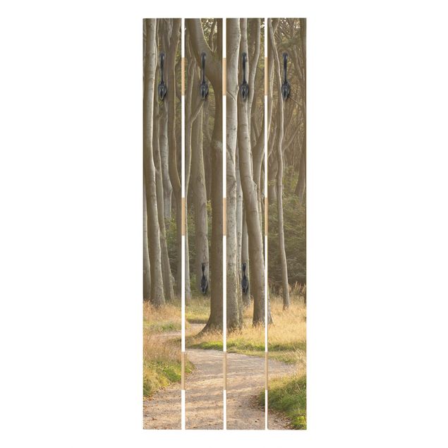 Appendiabiti in legno - Strada forestale nella Germania del Nord