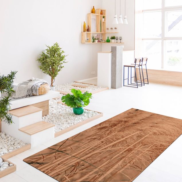 Beige tappeti moderni soggiorno Calda erba della pampa in estate