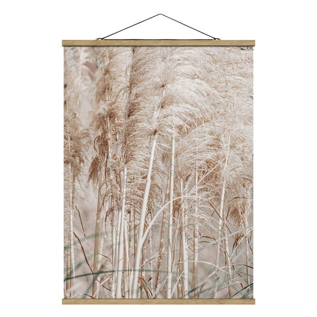 Foto su tessuto da parete con bastone - Calda erba della Pampas in estate - Verticale 3:4