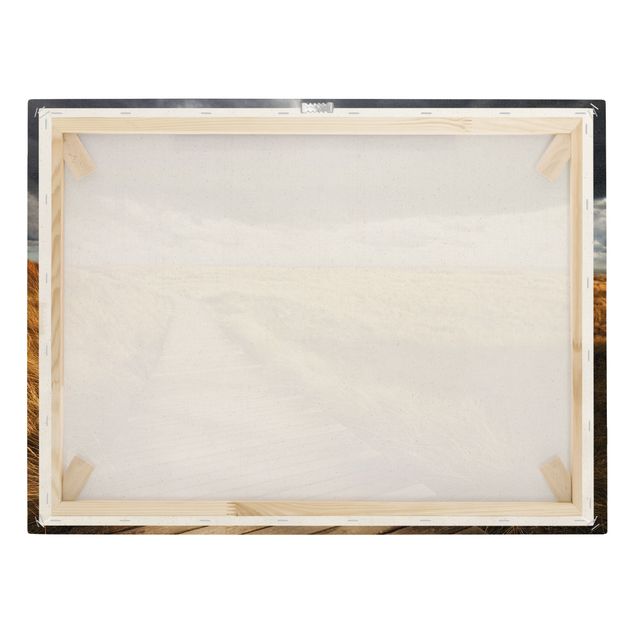 Quadro su tela naturale - Via nelle dune - Formato orizzontale 4:3