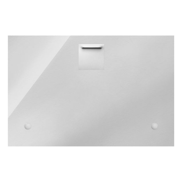 Quadro in vetro - Aquilegia bianca in bianco e nero - Formato orizzontale
