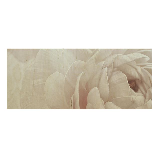 Stampa su legno - Fioritura bianca in un mare di fiori
