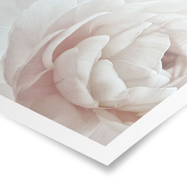 Poster - Fioritura bianca in un mare di fiori
