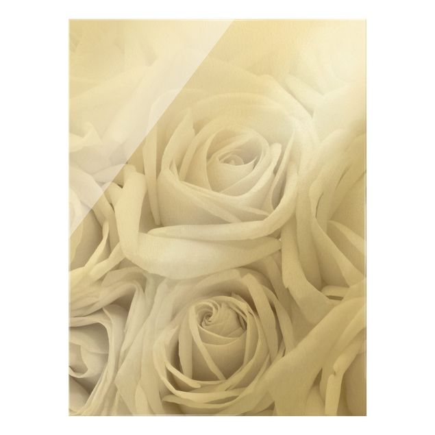 Quadro in vetro - Rose bianche - Formato verticale