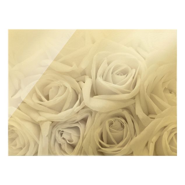Quadro in vetro - Rose bianche - Formato orizzontale