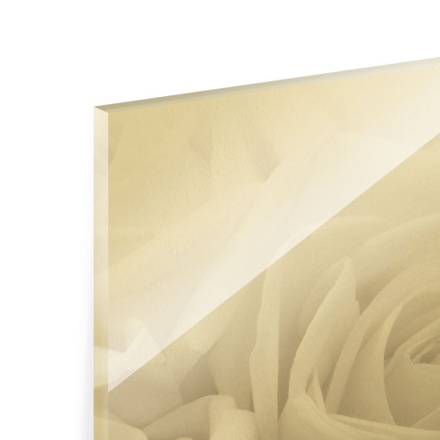 Quadro in vetro - Rose bianche - Formato verticale