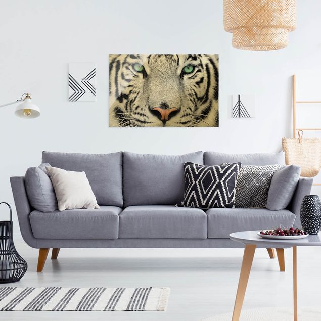 Quadro in vetro - Tigre bianca - Formato orizzontale