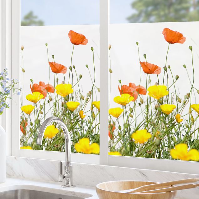 Pellicola per vetri con erbe Wild Flowers