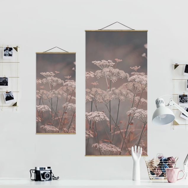 Foto su tessuto da parete con bastone - Ombrellifere selvatiche - Verticale 1:2