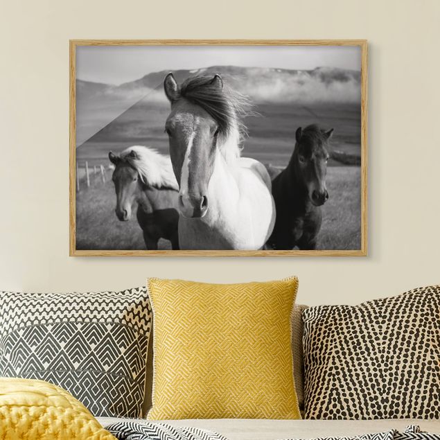 quadri con animali Cavalli selvaggi in bianco e nero