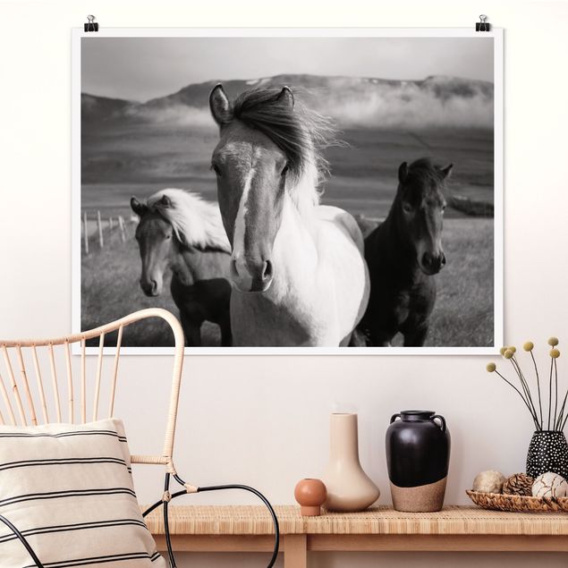 quadri con animali Cavalli selvaggi in bianco e nero