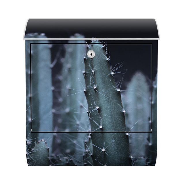 Cassetta postale - Cactus del deserto nella notte