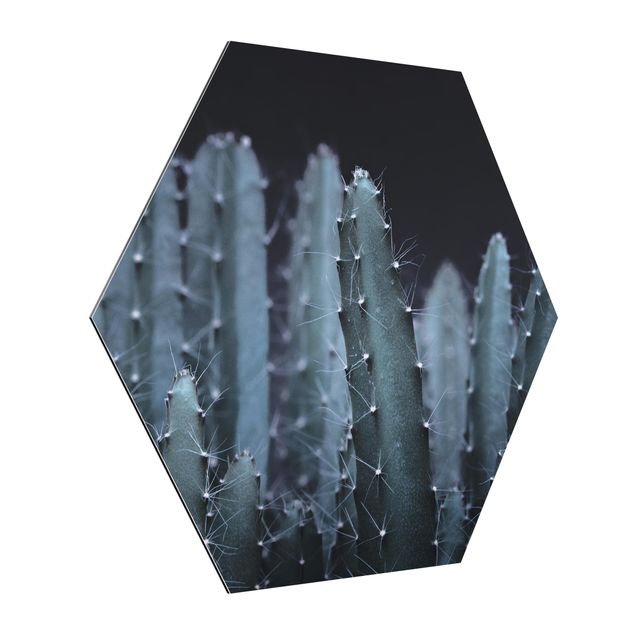 Esagono in Alluminio Dibond - Cactus del deserto nella notte