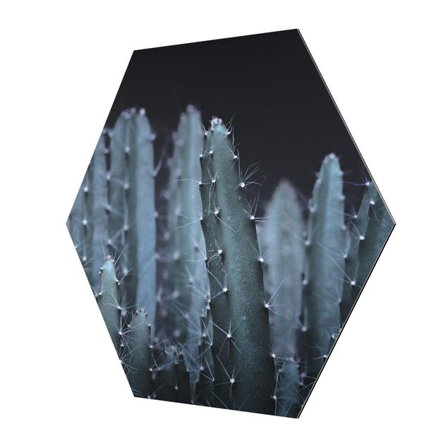 Esagono in Alluminio Dibond - Cactus del deserto nella notte