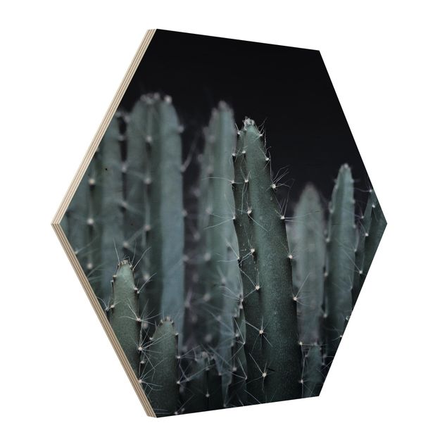 Esagono in legno - Cactus del deserto nella notte