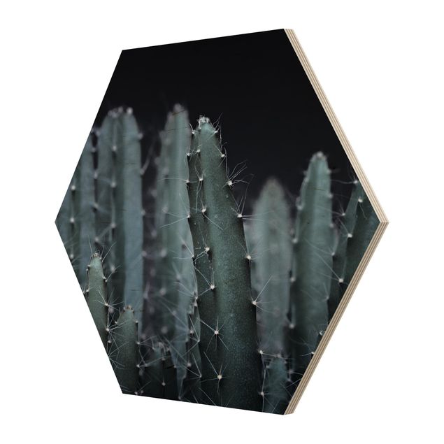 Esagono in legno - Cactus del deserto nella notte
