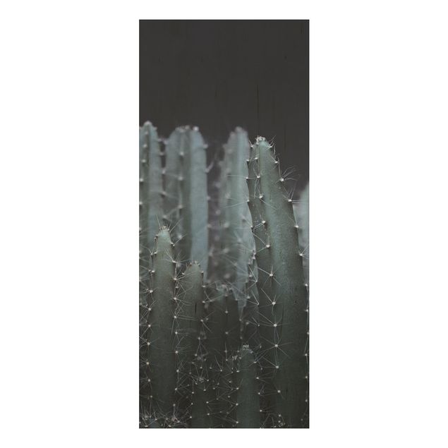 Stampa su legno - Cactus del deserto nella notte