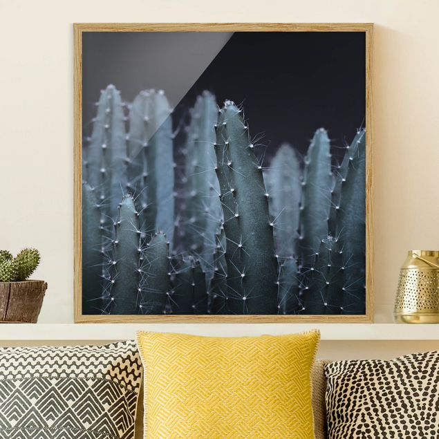 Poster con cornice - Cactus del deserto nella notte