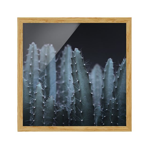 Poster con cornice - Cactus del deserto nella notte