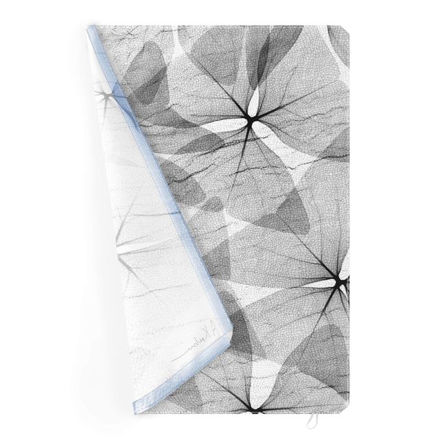 Quadro intercambiabile - X-Ray - Trifoglio a triangoli con tessuto