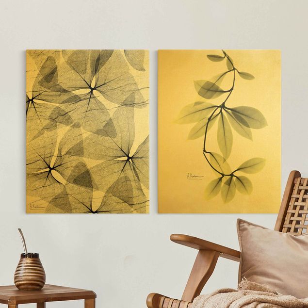 Quadri su tela fiori X-Ray - Falso trifoglio e foglie di hoya