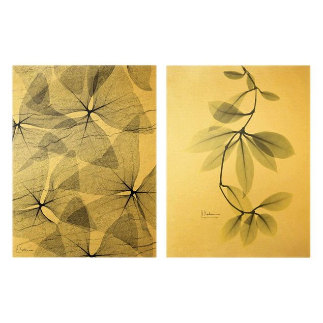 Stampa su tela 2 parti - X-Ray - Trifoglio a triangoli e foglie di fiori di porcellana