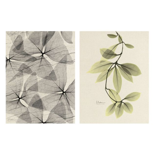 Stampa su tela 2 parti - X-Ray - Trifoglio a triangoli e foglie di fiori di porcellana