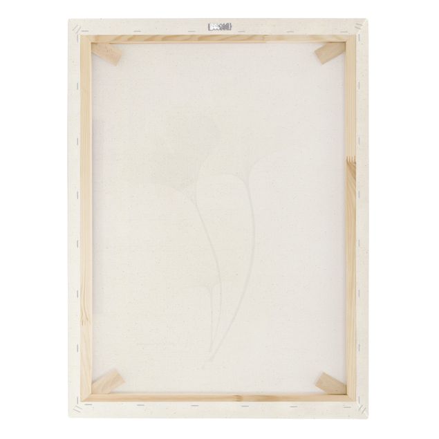 Quadro su tela naturale - X-Ray -Ginko - Formato verticale 3:4