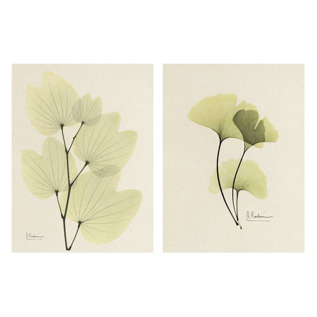 Stampa su tela 2 parti - X-Ray - Ginko e foglie di orchidee