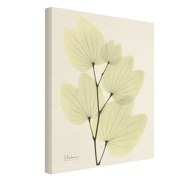 Quadro su tela naturale - X-Ray - Foglie di orchidee - Formato verticale 3:4