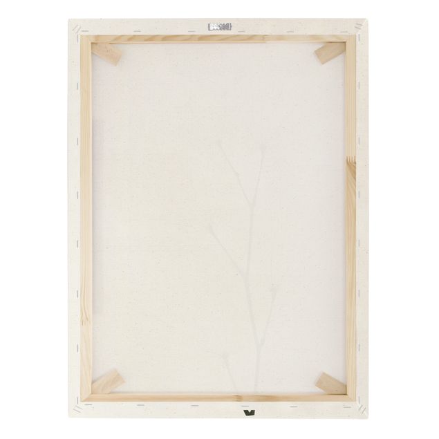 Quadro su tela naturale - X-Ray - Foglie di orchidee - Formato verticale 3:4