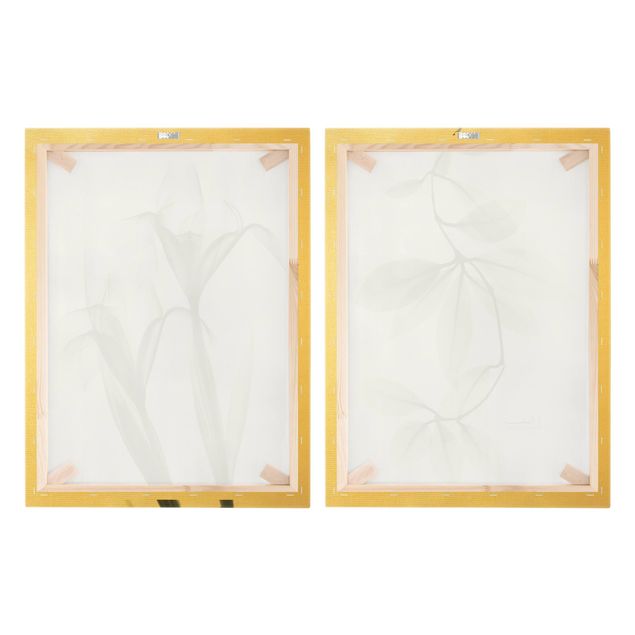 Stampa su tela 2 parti - X-Ray - Foglie di fiori di porcellana e iris