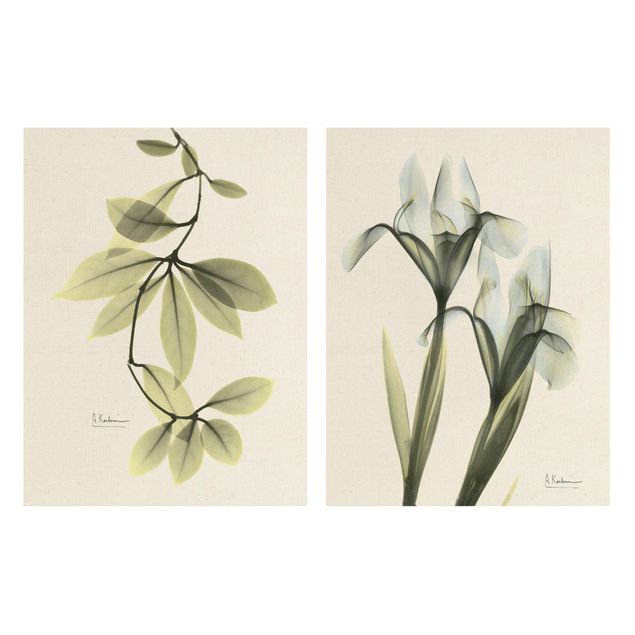 Stampa su tela 2 parti - X-Ray - Foglie di fiori di porcellana e iris