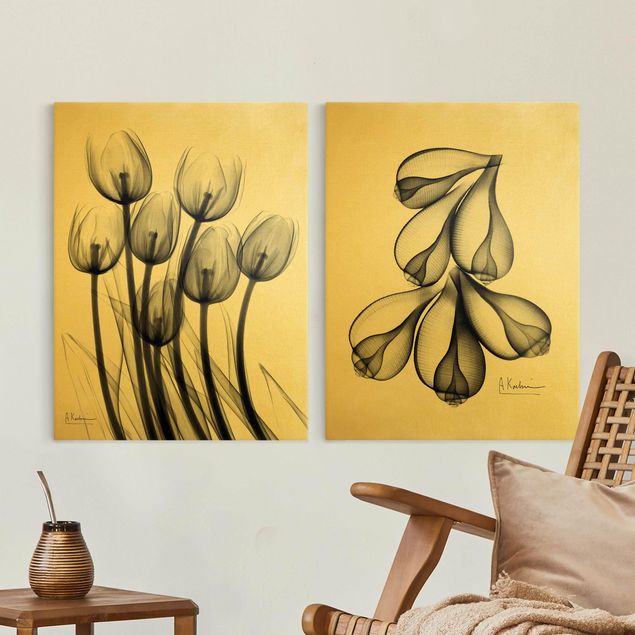 Stampe su tela fiori X-Ray - Tulipani e conchiglie di fico