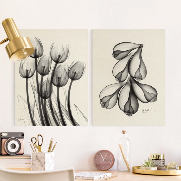 Stampe su tela fiori X-Ray - Tulipani e conchiglie di fico