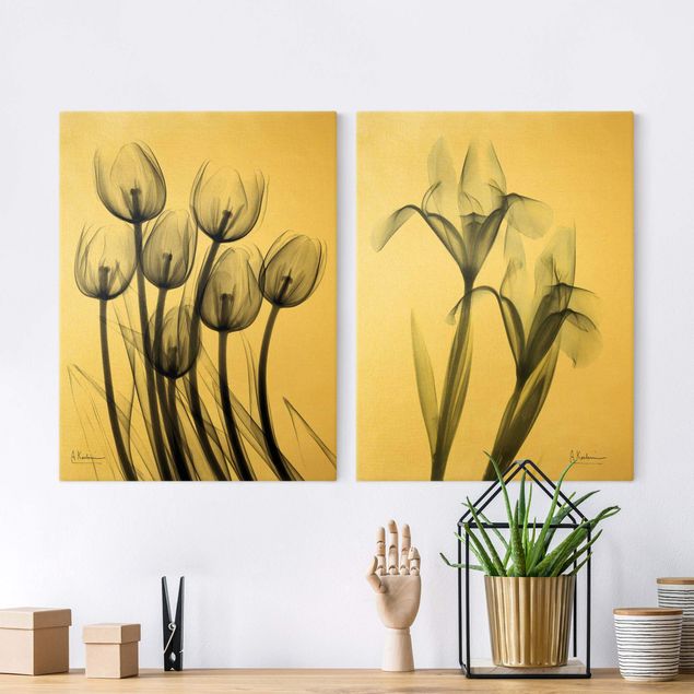 Stampe su tela fiori X-Ray - Tulipani e Iris