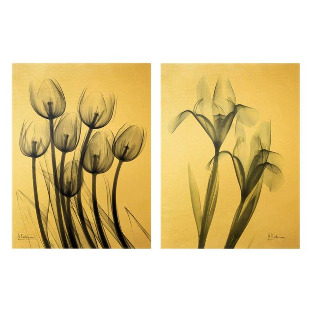 Stampa su tela 2 parti - X-Ray - Tulipani e iris