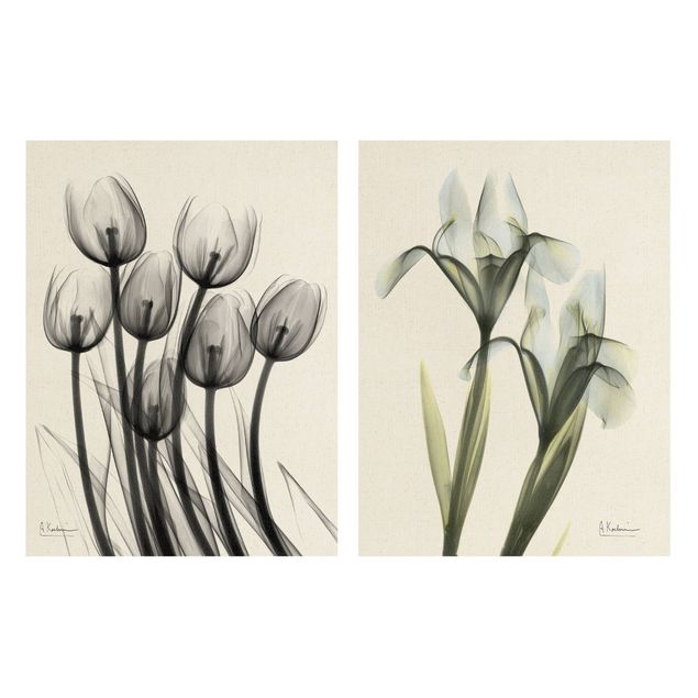 Stampa su tela 2 parti - X-Ray - Tulipani e iris