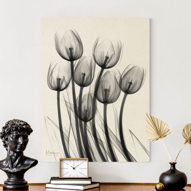 Quadri su tela fiori X-Ray - Tulipani