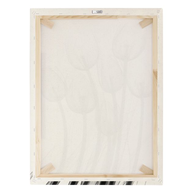 Quadro su tela naturale - X-Ray - Tulipani - Formato verticale 3:4
