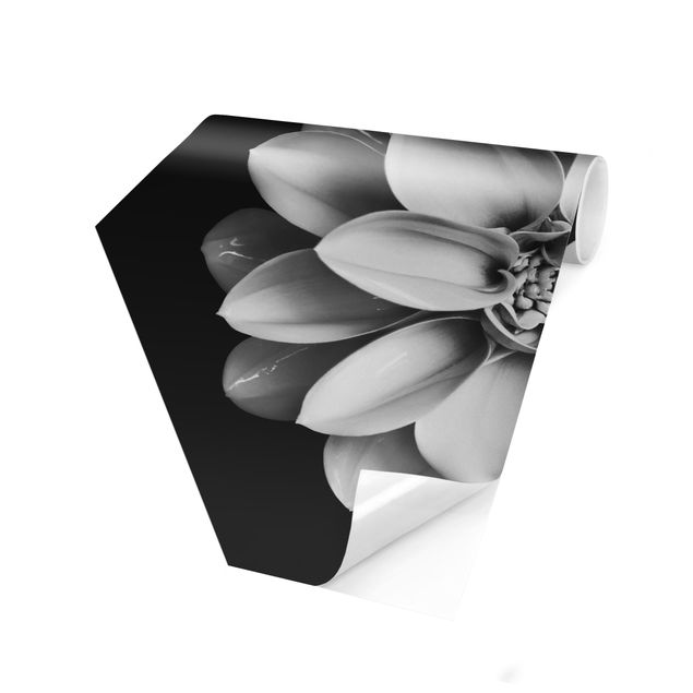 Carta da parati esagonale adesiva con disegni - Tenera dalia in bianco e nero