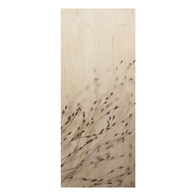 Stampa su legno - Erbe delicate nell'ombra del vento