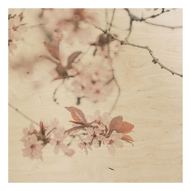Stampa su legno - Fiori di ciliegio delicati in ramo